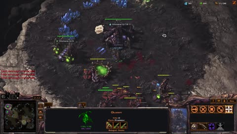 Terran jest nie grywalny. Zergujemy.