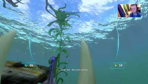 DravenHide Playing Subnautica
