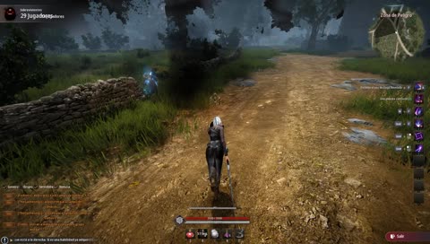 Black Desert Online (Battleroyale)