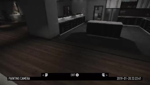 playing some payday 2