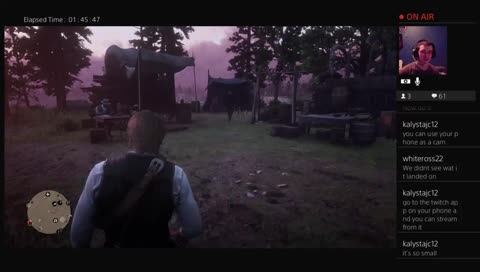 Horses, Horses, and More Horses