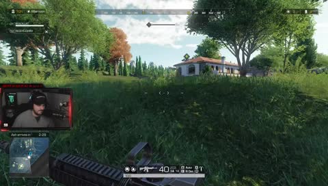snipe