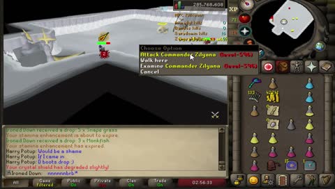 IN SEARCH OF THE BOW THEY CALL ARMADYL