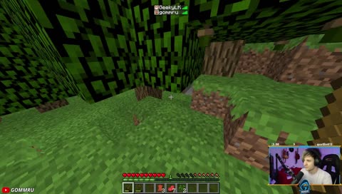 👾Epic gamer👾 @gommru on all socials