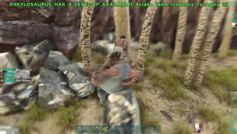 Ark