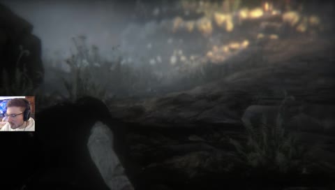 aestheticand continuing to learn the Bloodborne speedrun! I missed this game :weary:
