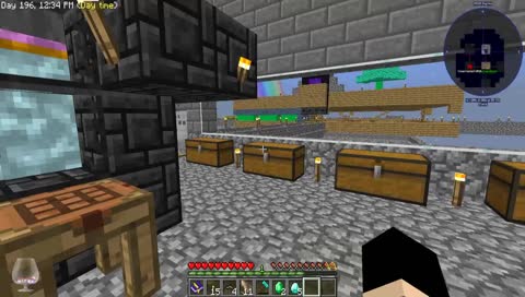 Minecraft: SkyFactory 3 - Day 3, I'm here to support Chaos