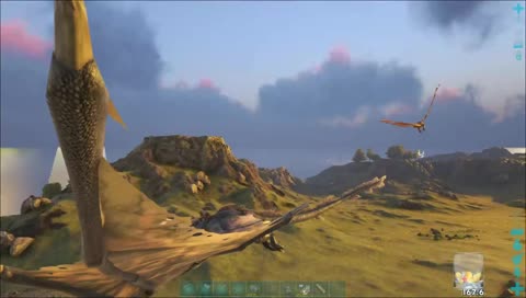 The hunt for the elusive pheonix! -Ark