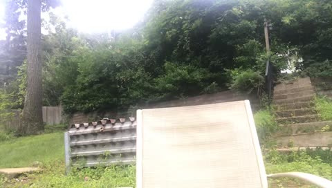 Hanging with my dogs!