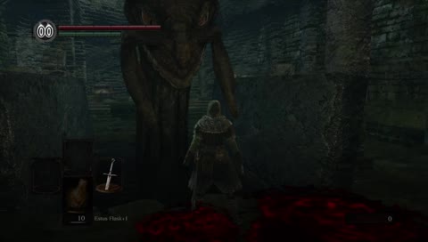 Willow's House Of Fun| Dark Souls 100% Run