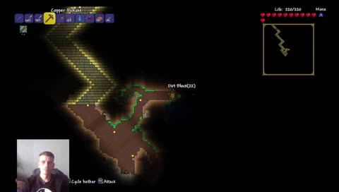 Terraria Ps4 expert mode