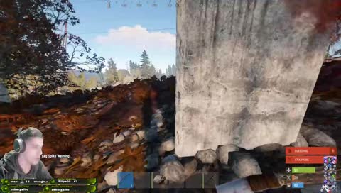 (PT / ENG) Banana Palmtree