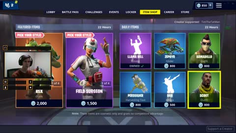 Fortnite just for fun!