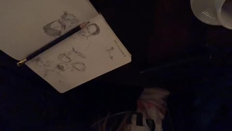 mobile stream! drawing with Summer in LA