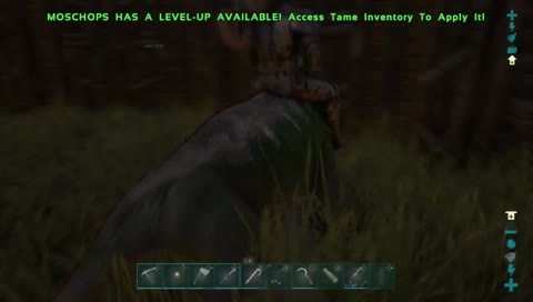 ark