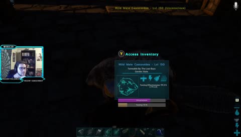 FRESH RAG NITRADO - PVP WEEKENDS - 3 WEEK PROTECTION - DO YOU EVEN DINO BRO?