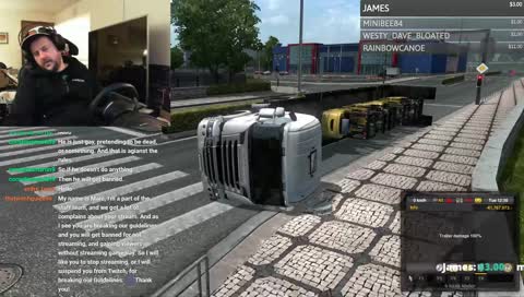 ASLEEP AT THE WHEEL - ETS2