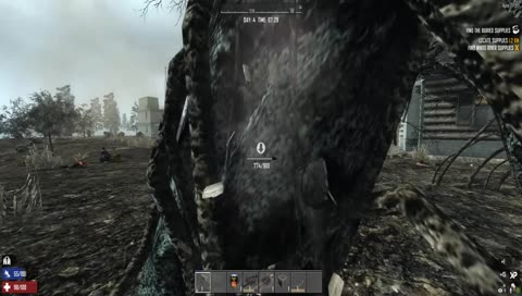 7 Days to die: Fun with the bugs