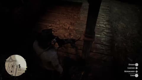 a cowboy di...euuh thing