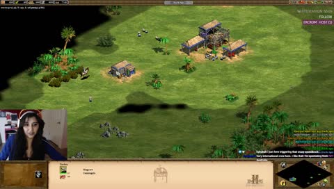 Side Shenanigans and some AOE II later