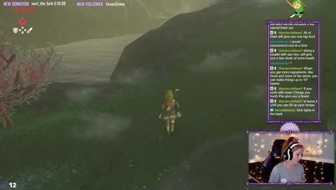 [First Playthrough] Third Day of Adventuring