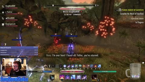 [XBOX/NA] Vet Dungeons looking for skins! New players welcome!