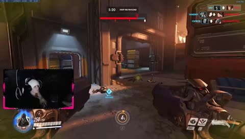 its wednesday my dudes | !social