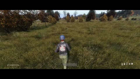 "If Killed, Exit Dayz"  ( nerd cred: GhostWyrd  )