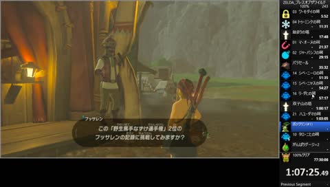 ZELDA 100% Speed Run - 242
___NoDLC NoAmiibo Ver1.0.0 RTA