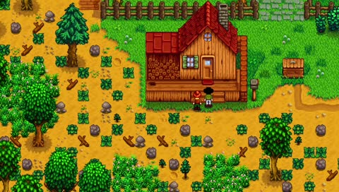 doing some games and stuff like that
