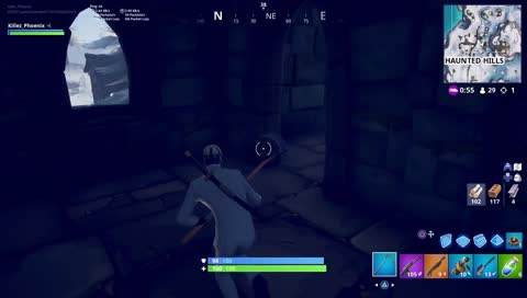 Long stream playing with followers!!!