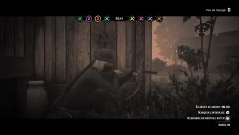 PS4 PRO - Game avec Viewers RDR2 online !