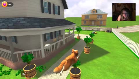 [GER/ENG] Kitten for life!