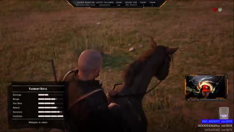 Do You Need Horse Insurance?