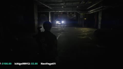 Hello Raccoon City