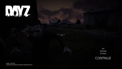Dayz solo