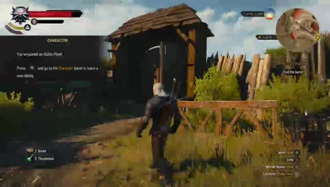 the witcher 3