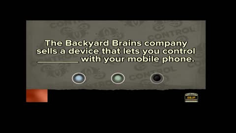 Toasty Roasty the Mosty