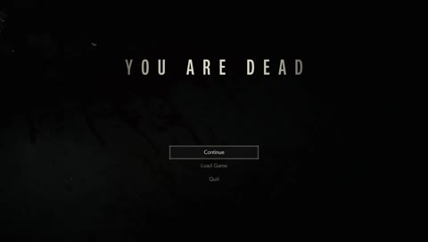 Raccoon City Sewer Cleaners - "We clean the garbage beneath you"