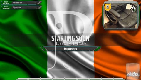 [CatCam] Sunday Funday