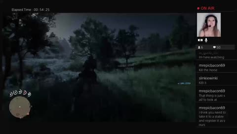 Red Dead Redemption 2