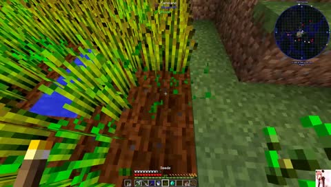 Direwolf game