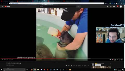 living large  | !commands