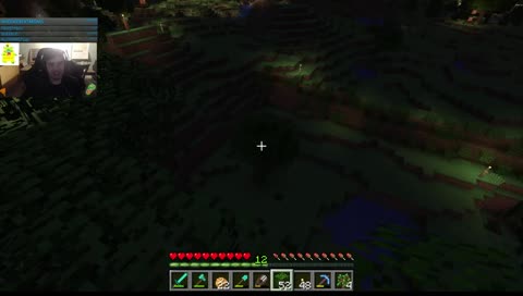 SHOWING OFF MINECRAFT CRIBS