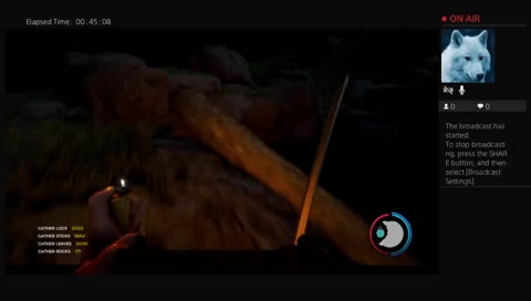 NeoToraDarkmoon Live PS4 Broadcast the forest