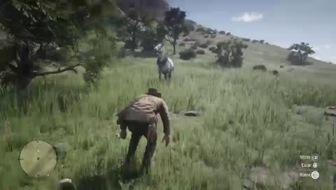 Red Dead Redemption 2