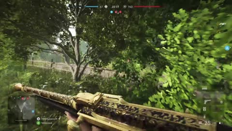 Battlefield 5 online , follow for follow!