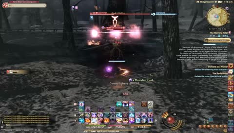Black Mage [NPC Quests]