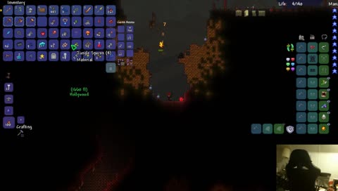 Terraria with HOLLYWOOD