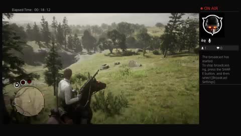 Red dead redemption 2 online